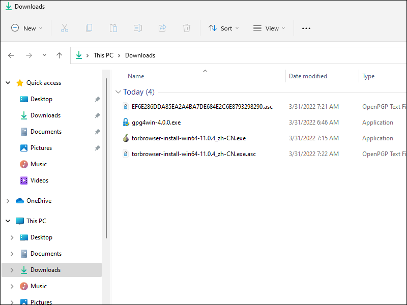 Downloads folder on Windows PC