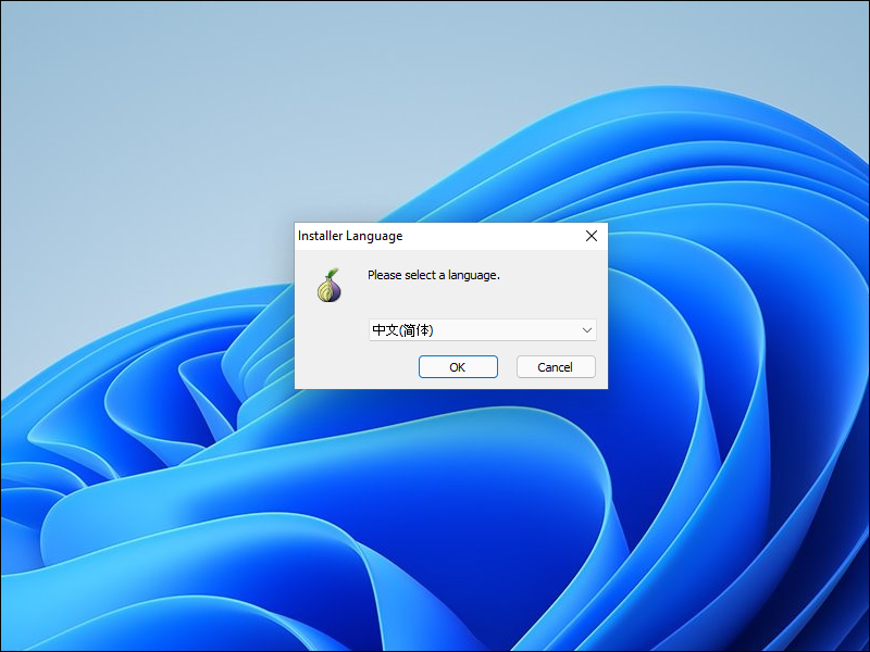 Tor Browser installer with language Chinese (Simplified) selected
