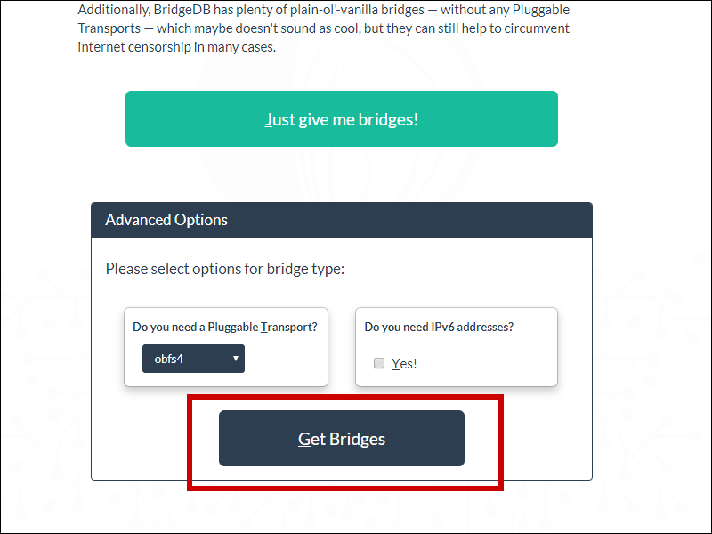 https bridges torproject org